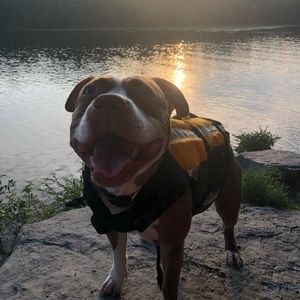 Meet your Posher, Courtney